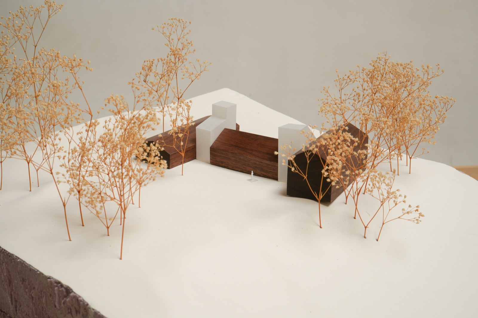 Physical model