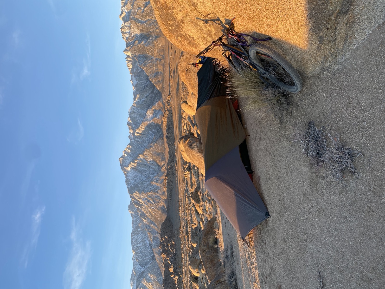 Tent below the Sierra, Lone Pine
